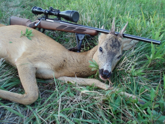 pred dvomi hodinami Nosler Ballistic Tip