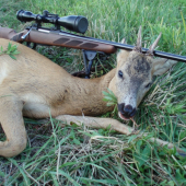 pred dvomi hodinami Nosler Ballistic Tip