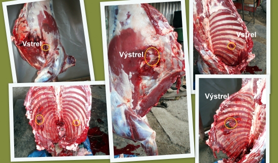 prebíjaný  Nosler AccuBond 165 gr .308Win. / srnča