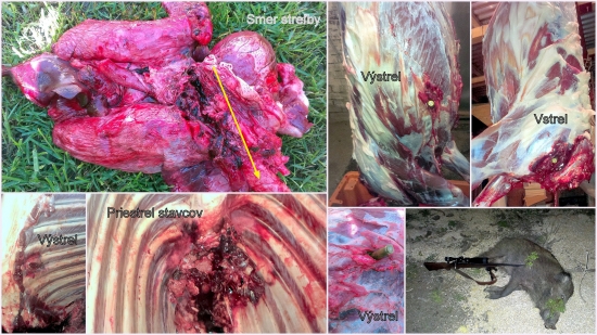 prebíjaný  Lapua Mega 185GR  .308 Win. / lanštiak