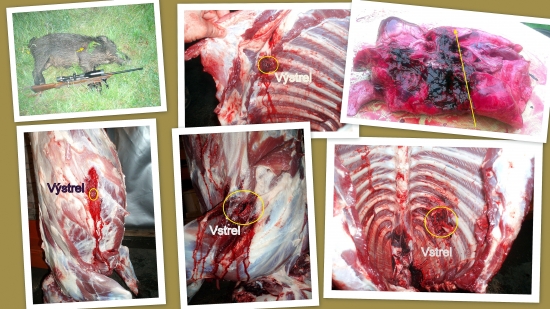 prebíjaný  Nosler AccuBond 165 gr .308Win. / lanštiak