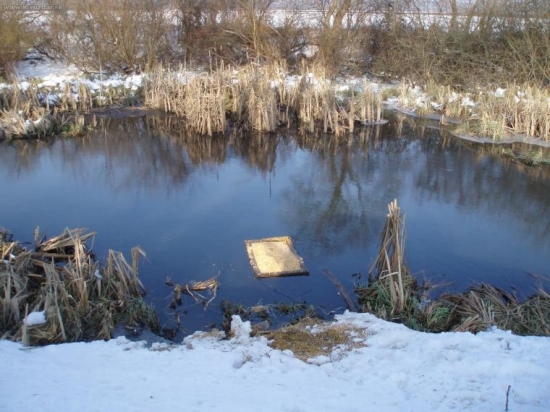 kŕmidlo pre kačice