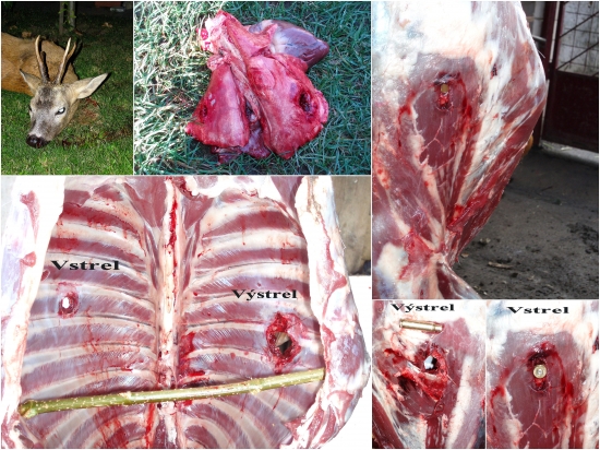 prebíjaný  Norma Vulkan 11,7g   .308 Win.   -  srnec
