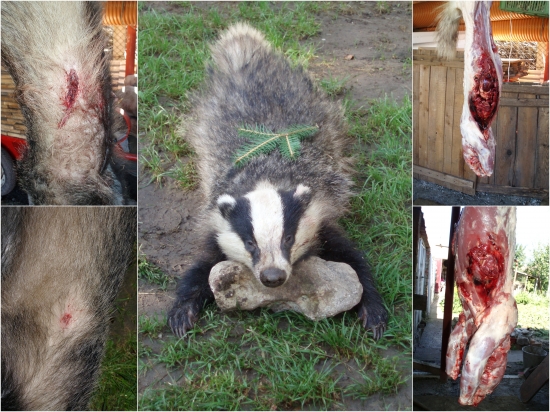 prebíjaný Hornady interlock 308w