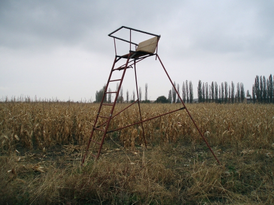 tak ešte jedna tento rok