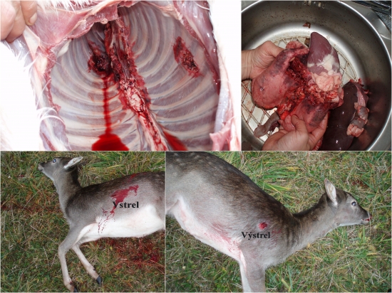 prebíjaný  Norma Vulkan 11,7g   .308 Win.   -  danielča