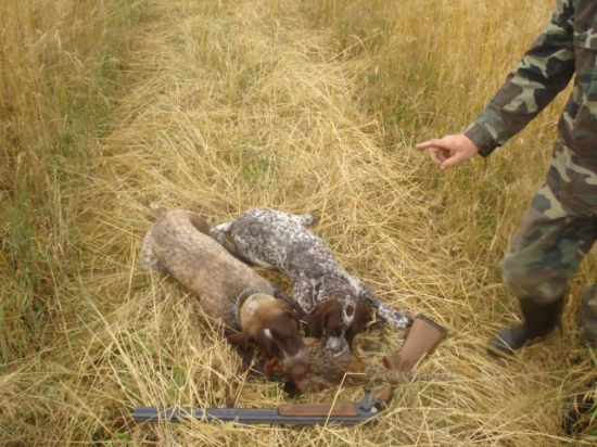 Aida s bratom Aronom