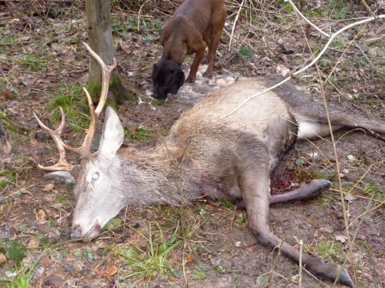 Úspešná dohľadávka