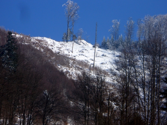 Zima v lese. II