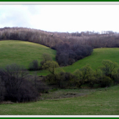 Po nočnom daždi sa všetko zeleni.