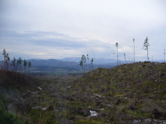 Tatry v roku 2007