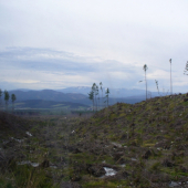 Tatry v roku 2007