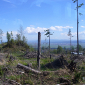 Pohľad na Tatry v roku 2007