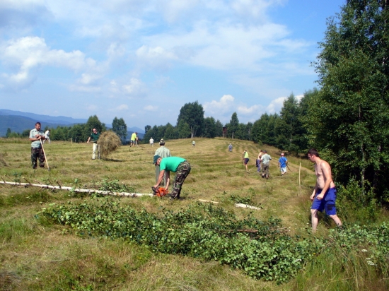 Brigada na pripravu sena   pre zver 2.