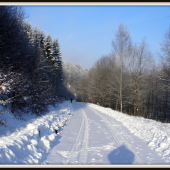 Spomienka na zimu.
