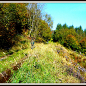 Spomienka na minuloročný koniec leta