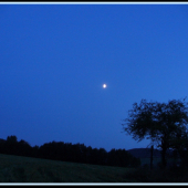 Návrat z včerajšej prechádzky