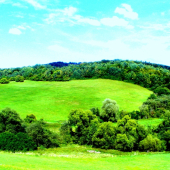 Žeby už chytal jesenné farby?