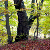 Jeden z   posledných velikánov.