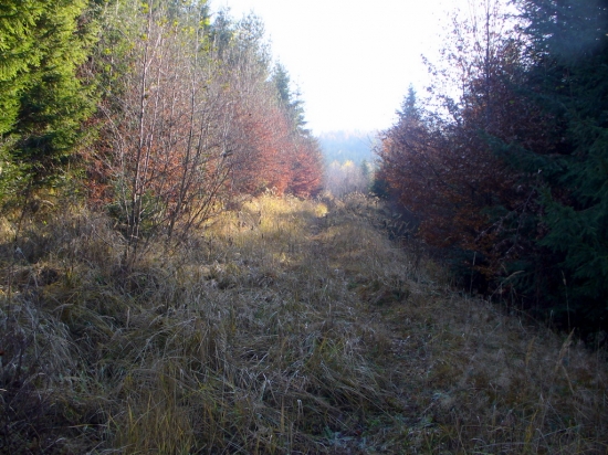 Jeseň