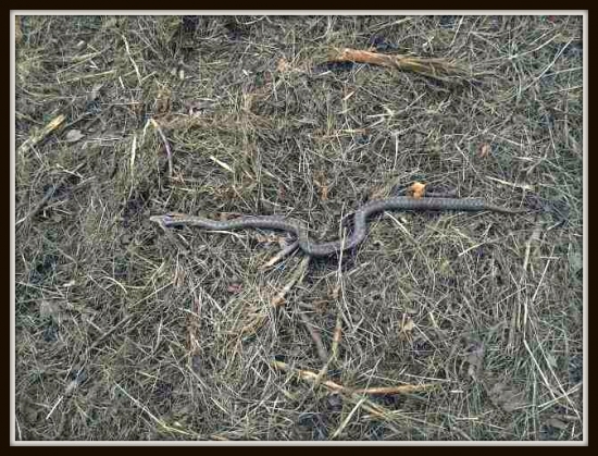 Je november a ona je vonku