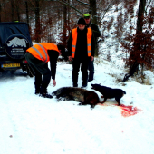 Dnešný  kolegov úlovok.