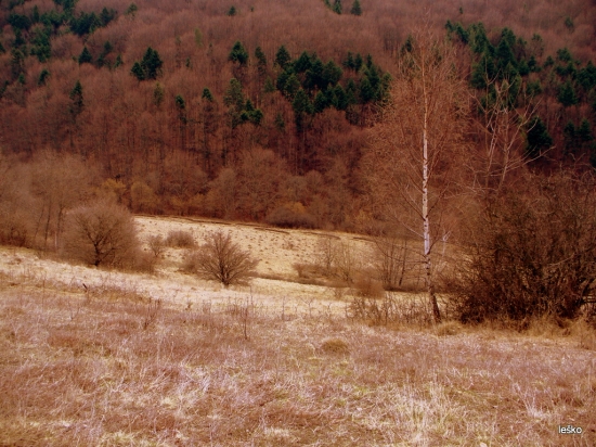 Čakanie  na zelenu.