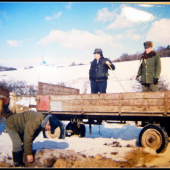 Spmienky na zlate časy