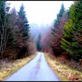 Z dnešnej sychravej prechádzky