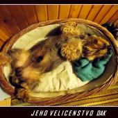 Môj priateľ