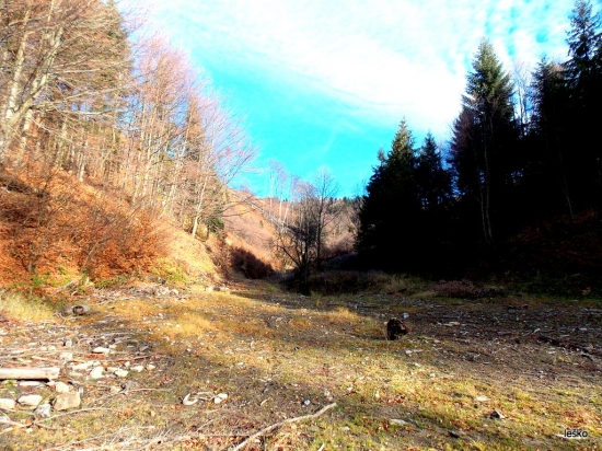 Jeseň vo Vlčej doline