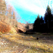 Jeseň vo Vlčej doline