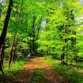 Priehyba v Č. Pohori