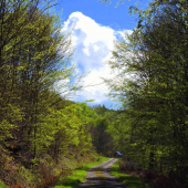 Aj  Č.pohorie  ma svoj zasnežený Krivaň