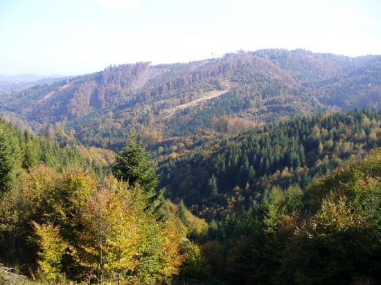 Pohľad z Priehyby do Vlčej doliny.
