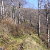 Nadherna jesenna pohoda.