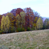 Jeseň ešte v plnej kráse farieb