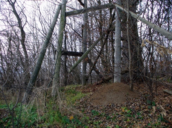 Opustený posed pre inváziu mravcov.