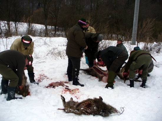 Škola mladych pod dohľadom veducého pľovačky.