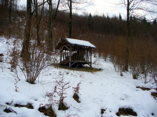 Po troch dňoch zase doplniť.