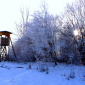 Okolo posedu prešiel Mrazik