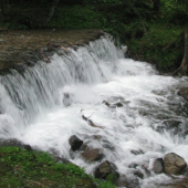 najčistejší horský potok