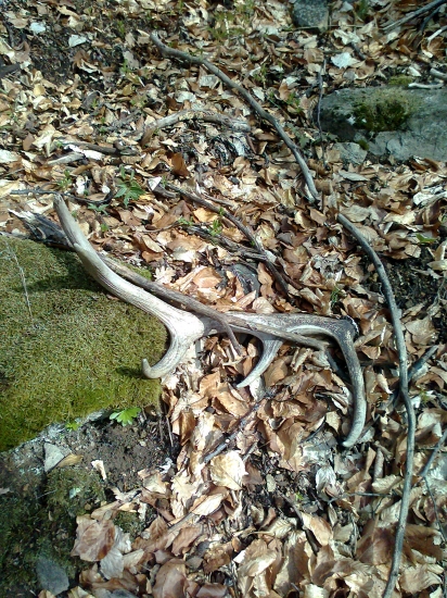 Velkonočný - zase neskoro