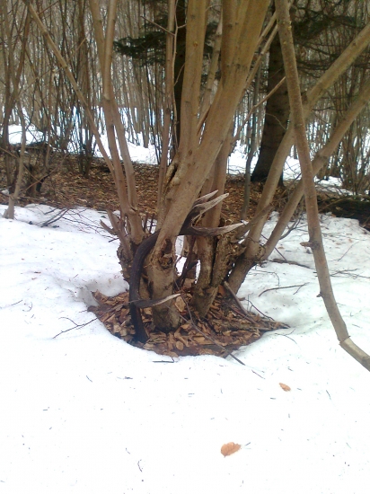 Marec 2013 - minuloročný zhod