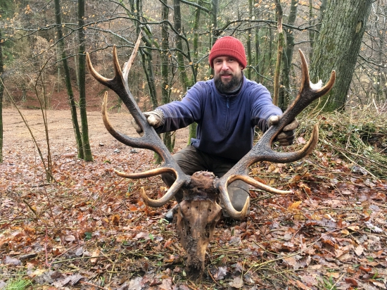 Kamaratov uhyn z Hessenska (Nemecko) c.2