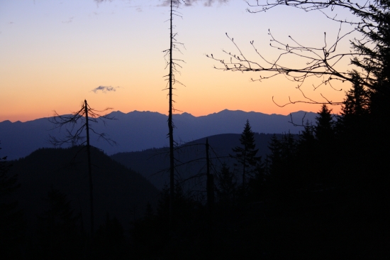 včasné ráno na Liptove - čakanie na čierneho rytiera