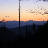 včasné ráno na Liptove - čakanie na čierneho rytiera