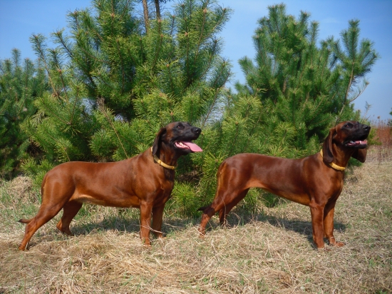 Rika (6 rokov) a Tosca (dcéra, 13 mesiacov)