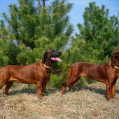 Rika (6 rokov) a Tosca (dcéra, 13 mesiacov)