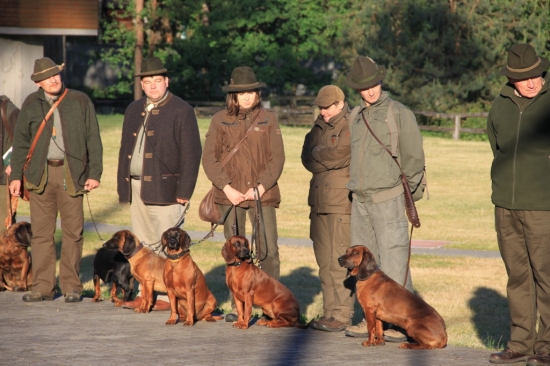 Piotrków Trybunalski 2012 [PL]